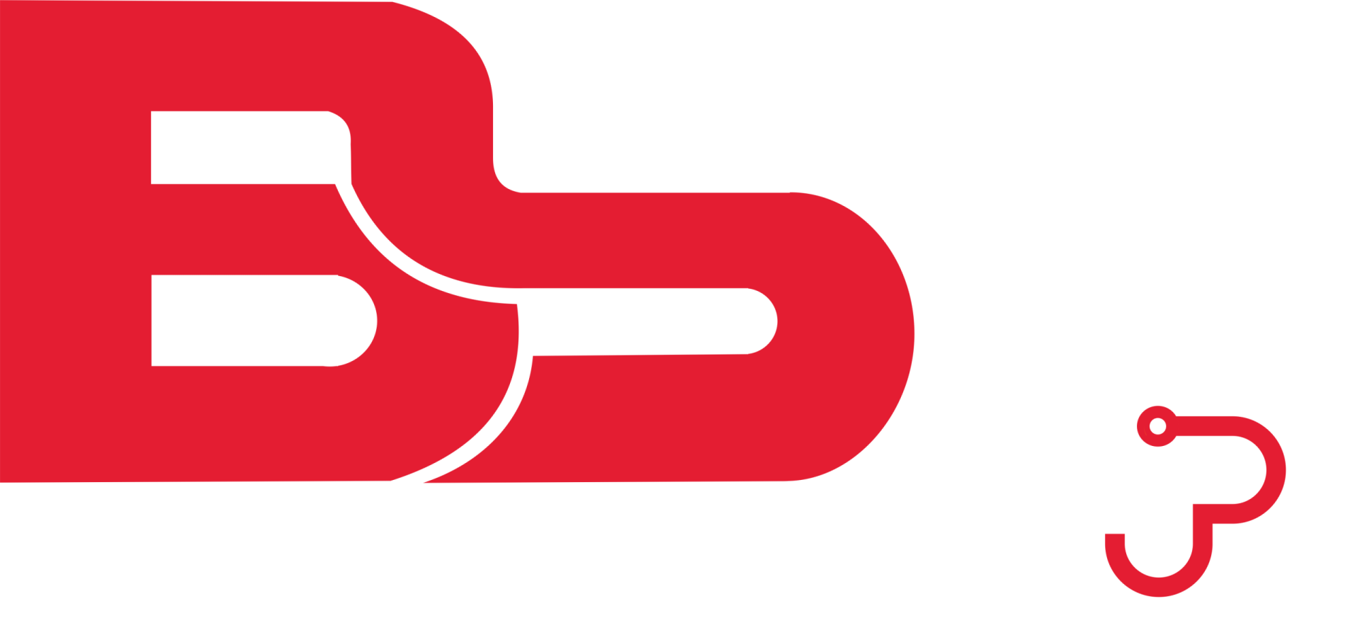 شرکت مهندسی برسا سیستم پاسارگاد